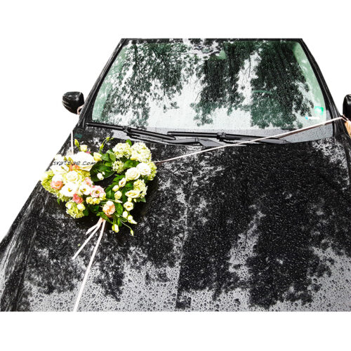 Украса за кола под формата на сърце Украса за кола под формата на сърце