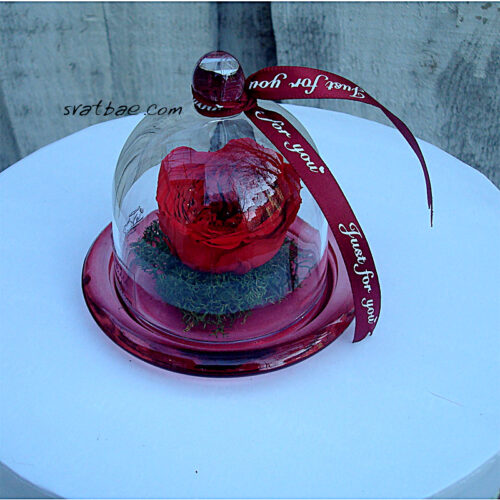 Голяма вечна роза “For you” Голяма вечна роза “For you”